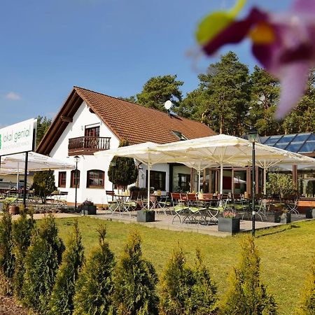 Lokal Genial Pension & Restaurant Beelitz Dış mekan fotoğraf